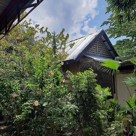 Alimpay Foresters Apartment بنغلاو المظهر الخارجي الصورة