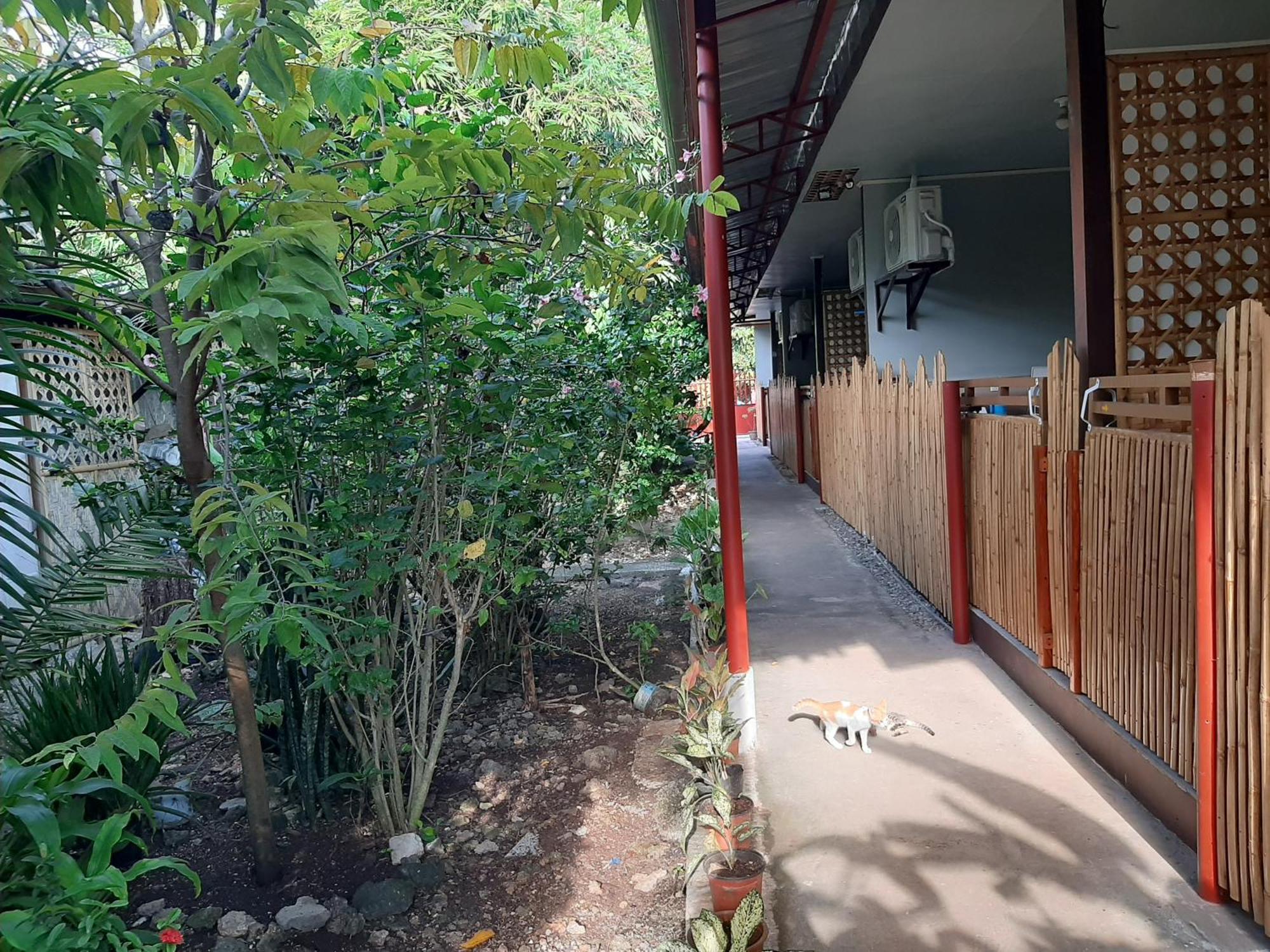 Alimpay Foresters Apartment بنغلاو المظهر الخارجي الصورة